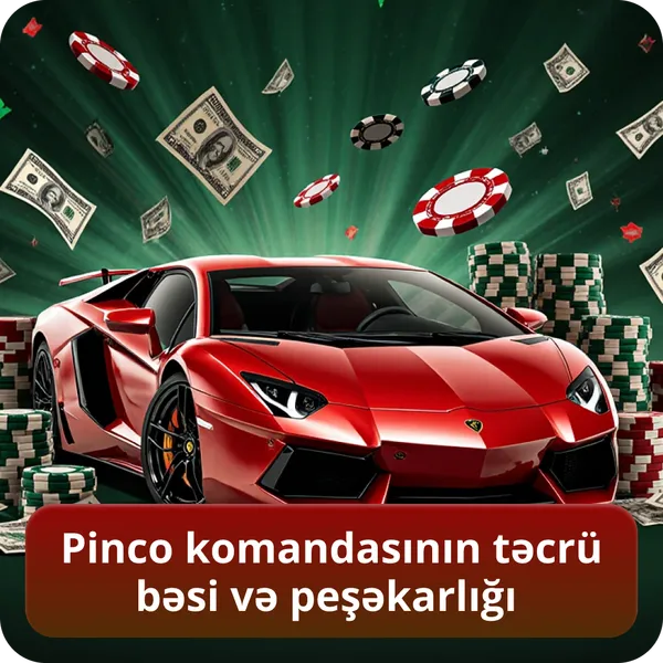 Pinco komandasının təcrübəsi və peşəkarlığı